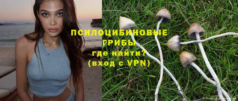 Псилоцибиновые грибы Magic Shrooms  где купить   Шахты 